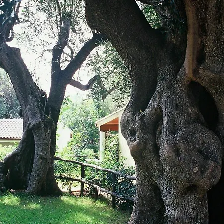 Touring Club Italiano - Marina Di 3* Camerota